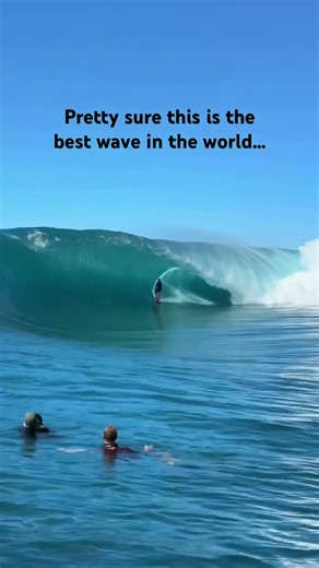 Have you ever seen a wave so perfect and hollow?! #surf #surfing #waves #bigwaves #swell