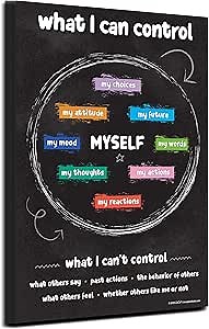 ZOCO – Things I Can Control Poster (20-Pack) – Mental Health & Growth Mindset Tool for Teens – SEL Wall Art for Classrooms, Counseling & Therapy – Laminated 12"x18"