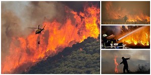 La ola de calor calcina España: deja ya 84 muertes y a seis comunidades afectadas por el fuego
