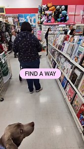 5.5K views · 1.4K reactions | Did you know that generally I will stop...