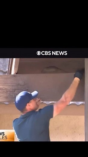 The cheapest & most effective way to STOP rats from climbing up your pipes & wires! | Rodent Stoppers