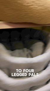 No matter what your pet, you can get everything they need from Just for Pets here at Arena!  | Arena Shopping Park | Facebook