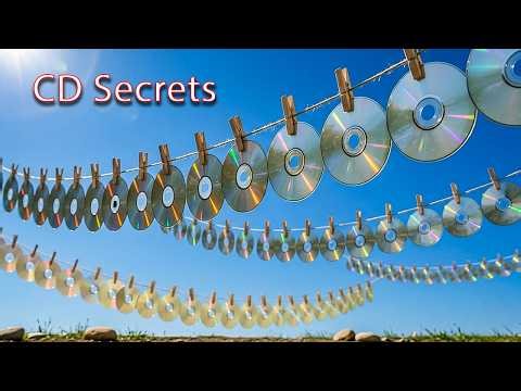 Many people don't know that Dry old CD disc in the sun are a gold mine! Discover this secret!