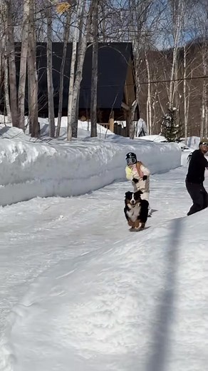 21K views · 3.2K reactions | When the slope calls — answer with power. Our latest ski gear gives you control, warmth, and speed in every move. Ride harder. Feel freer. | VectorMotion | Facebook