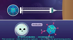 Crash Course【中英双字】生物学速成课 第39集：病毒和疫苗：疫苗如何发挥作用？