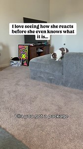 Ever notice your bunny losing interest in their hay? One day they munch non-stop, the next they barely touch it. It’s not attitude... it’s instinct Rabbits crave variety, texture, and flavor, just like we do. When every bite feels the same, they get bored… and that’s when picky eating starts That’s where the Sampler Hay Box comes in 🌾 With four of our best hays: 2nd Cut Timothy, 3rd Cut Timothy, Oat, and Orchard, it’s the easiest way to keep your bun curious, healthy, and happy while discoverin