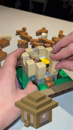 Village House - LEGO Minecraft Blocks Build