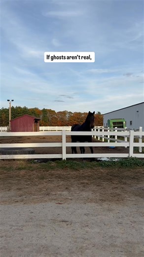 Halloween Party, Horse Barn Style!🐴🎃 This Friday join us for some spooky good fun that even the horses get in on (looking at you, Macaroni the Ghost 👻) Come enjoy… 🧡Costume Contest 🖤 Apple Bobbing 🧡 Donuts on a string 🖤 Egg Toss 🧡 Stick Pony Races And More! Recommended $20 donation per family The fun starts at 5pm! See you Friday ✨ | Hearts & Horses