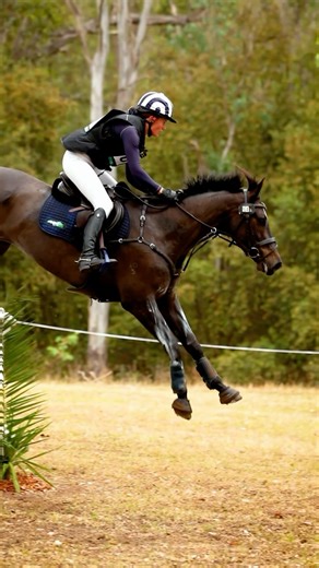 Sophia Hill | Ft cross country at @syd3de and one very special horse 💕 @horseland_official @betavet_australia @johnsonsnaturalformula... | Instagram