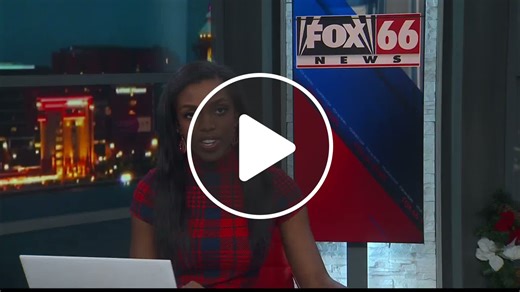 Erie Zoo's Winter Wonderland offers unique winter experience - NewsBreak