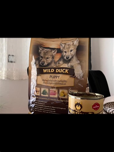 Was hält ihr von diesem Futter laut Internet ganz gut habt ihr Erfahrung? Ist es einfach nur teuer oder ist es wirklich gut?#americanbullylover #Welpen #Hunde #Dogs #DogsVideo @wolfsblut.hundefutter