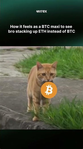 How It Feels as a Bitcoin Maxi Watching Bro Buy ETH 🥲 #crypto