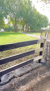 Hey guys ! We are working in Hamilton next, if anyone would like a quick fence painting quote feel free to reach out or txt 021 029 81522 | CL Fence Painting Specialists