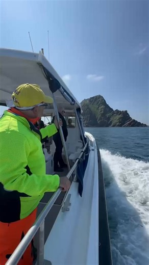 One of the great highlights ( and every day there's a highlight!) Along the Wild Atlantic way is...... The mysterious magical extraordinary skellig islands one of Ireland's beloved UNESCO world heritage sites. These outcrops of jagged rocks soar into the sky having ripped apart the waves of the Wild Atlantic. They lie 12 kms off the kerry coast and are almost inaccessible. Skellig Michael, the largest of the islands, was inhabited once. 1400 years ago! Monks landed here, somehow in their flimsy 