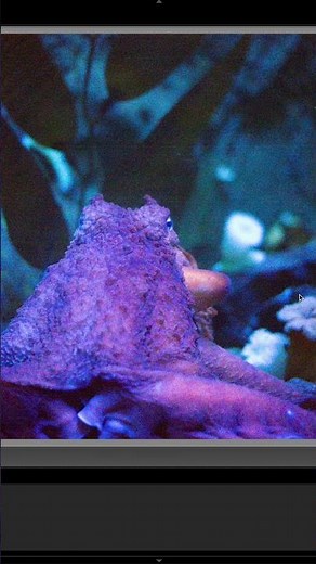 Lightroom Update: New Noise Reduction Tool using AI