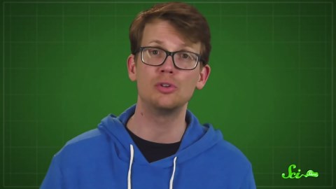 Why do humans like to get high?