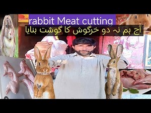 rabbit Meat cutting skill | so amazing expert butchers rabbit Meat cutting | very tasty Meat