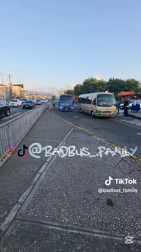 Bus Driver Clips: Stories from the 111 Bus