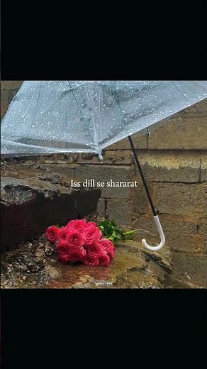 Do You Know? 💔 | Feel Every Word ✨ #viralvideo #aesthetic #viralvideo #lyricvideo #aesthetic