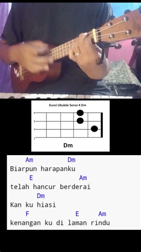 hiasan dilaman rindu || ukulele tutorial part3 #newboyz #hiasandilamanrindu #ukuleletutorial #fypシ