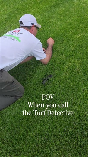 POV: You Called the Turf Detective 🔍
