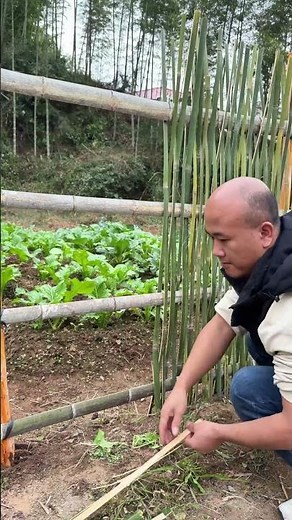 DIY Bamboo Fence Building Tips: A Great Helper for Vegetable Protection!