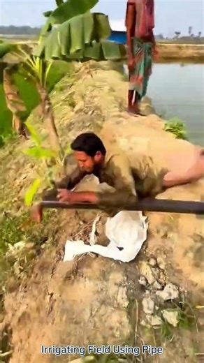 Irrigating Field Using Pipe