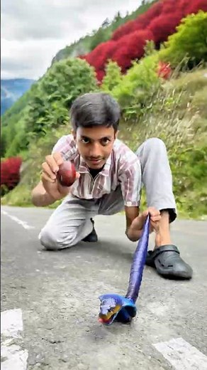 Remote Control Cobra Snake Unboxing and Testing