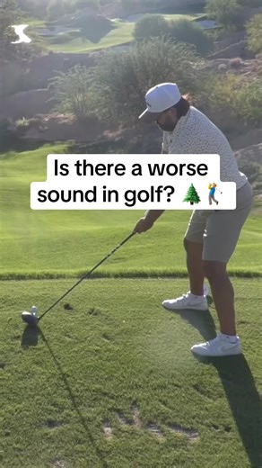 Is there any worse sound in golf? 🌲😭 🏌️‍♂️ @bobdoessports #golfer #golfmeme #golffunny #golftrip #golfswing