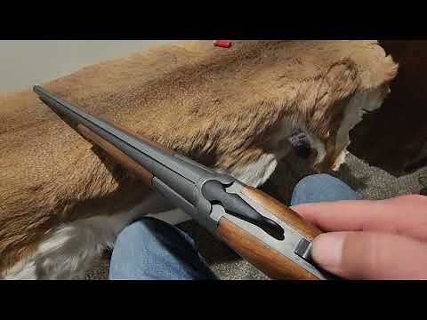 pointer acrius 1 minute gun review.