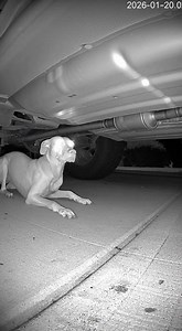 29K views · 46 reactions | On November 14, 2020, in Modesto,...