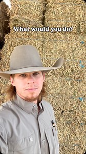 1K views · 14K reactions | One wolf has been removed from this pack but they’re leaving the rest? Cpw says killing this one wolf will make the others stay away from livestock. Do you agree?? #reels #igdaily #instagood #instagram #trending #video #fyp #foryou #explore #explorepage #truth #knowledge #food #meat #beef #cow #farmers #ranchers #consumer #foodporn #local #support #smallbusiness #share #thankyou #godbless #american #western #health #help | Lazy J meats | Facebook