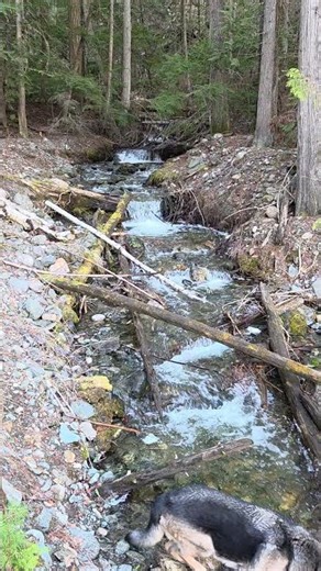 Spring Stream and Waterfall #waterfall