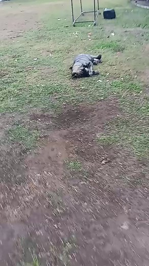 Chris Jacobs on Reels