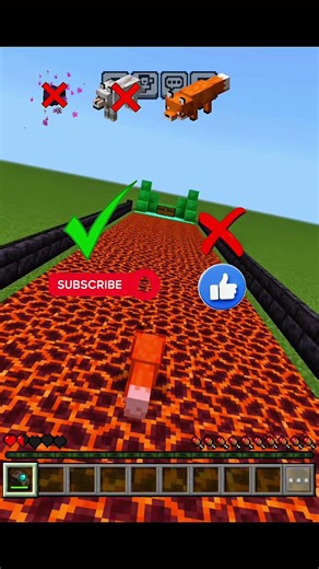 99% of Mobs DIE Here... Can This Fox Survive?