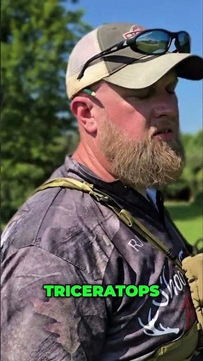 Insane 3D Elephant Target Archery #archery #3darchery