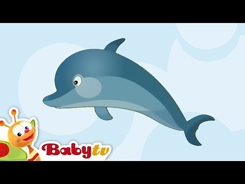 Dolphin 🐬 | Animal Sounds and Names for Kids & Toddlers | Cartoon ‪@BabyTV‬
