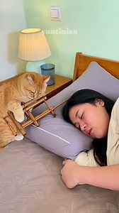 2.4K reactions · 22 shares | Gak ada jam weker, angklung pun jadi 藍藍. FYI Angklung is a musical instrument from Indonesia (west java, sundanese) • • #catlovers #catlife #funny #petloss #humor #komedi #funnycats #kucingoyen #goodmorning #funnystory #comedy | Haryati | Facebook