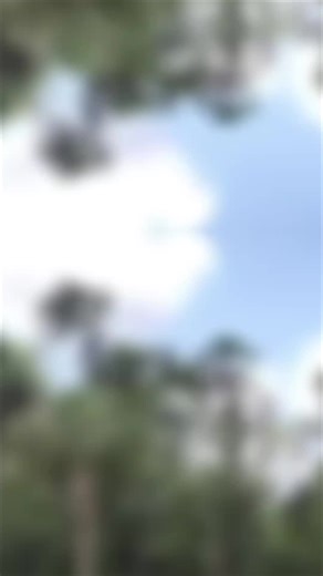 Creative Macarena Remix Editing with CapCut