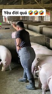 1.4M views · 5.2K reactions | Lan Nguyen on Reels | Facebook