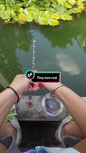 tinyfishing8 on TikTok