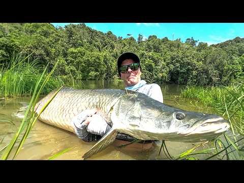 It Took 11 Years, But We Finally Landed This GIANT ARAPAIMA In A Tiny Lake