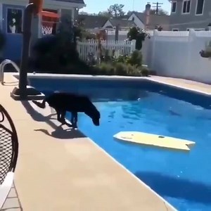 5.1M views · 62K reactions | Atta boy!  | BIG 98.7 | Facebook