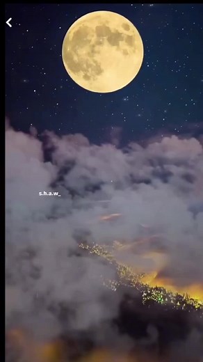 ‏💙🦋اللهم صل على محمد وعلى ال محمد🦋💙📿