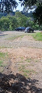 Hola como están Yo un poco nervioso porque el chalán se llevo el bochito y ba solo apenas se anda enseñando | Hermanos Barrera Oficial