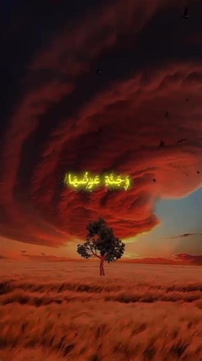 Beautiful recitation ☝️❤️☝️#quran #beautiful #faith #peace #takwa