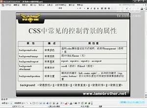 常见的CSS属性和值_ 第17节