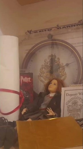 occhiali tondi la canzone di Harry Potter duetto con Andrea Cerreto COMPLETO IN DESCRIZIONE 👇