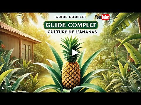 🍍 How to Grow Pineapples at Home? 🍍 Tips and Tricks for a Tropical Harvest! 🍍