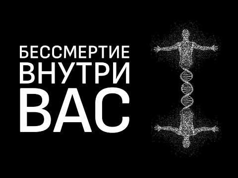 Самая недооценённая идея в науке